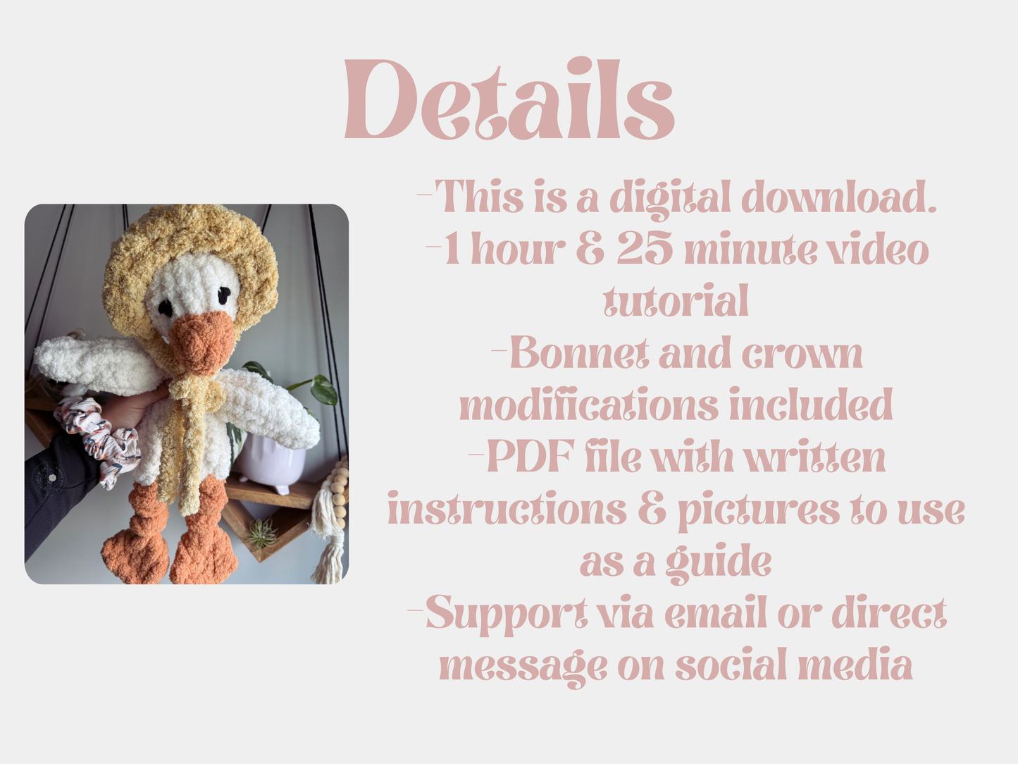 Suzy the Goose / Sully the Swan / Finger Knit Pattern / Intermediate +