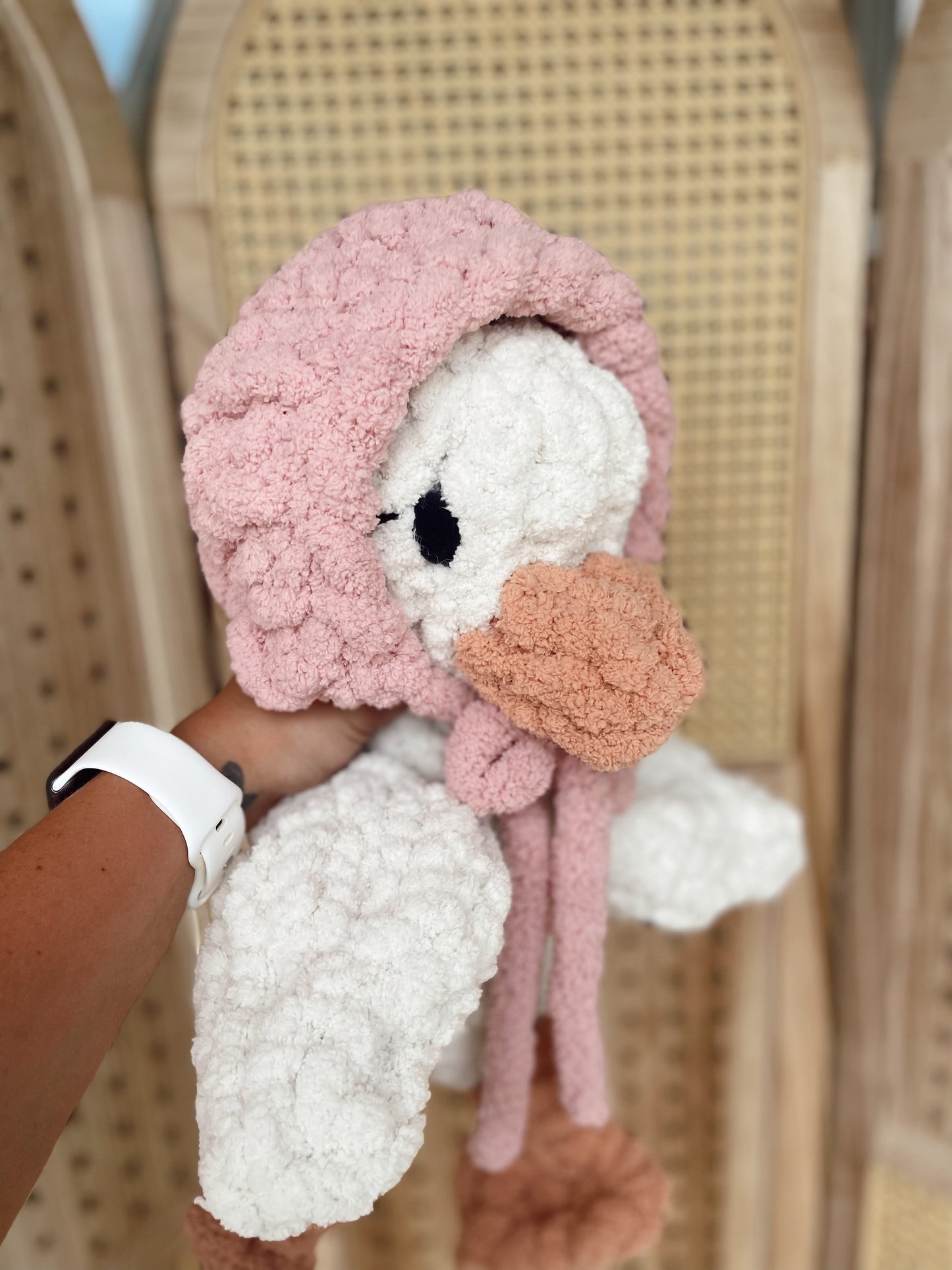Lucy the Goose