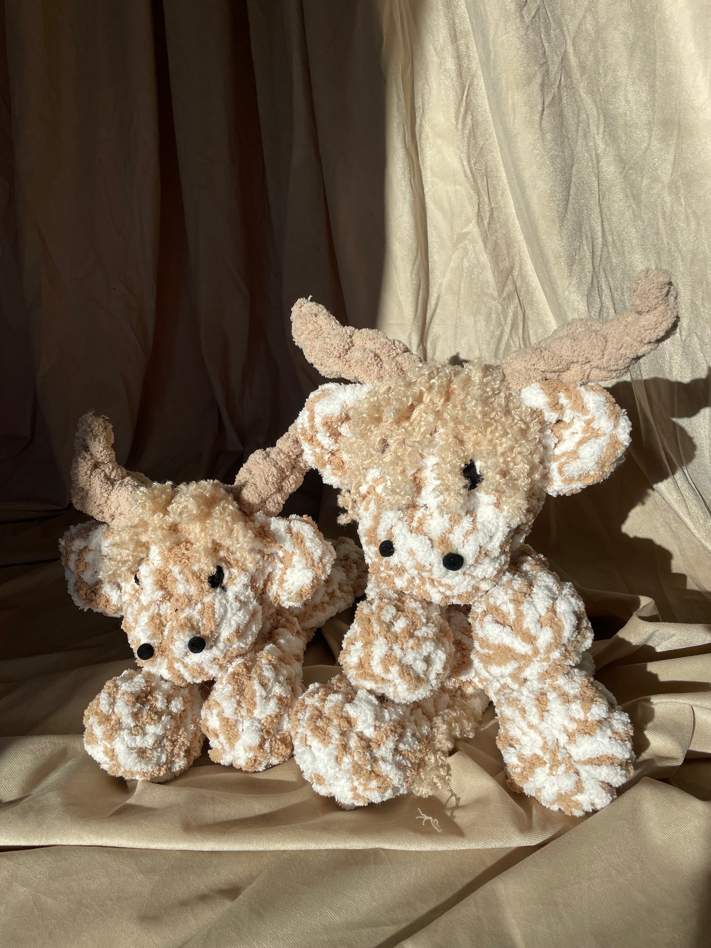 Hallie the Highland Cow