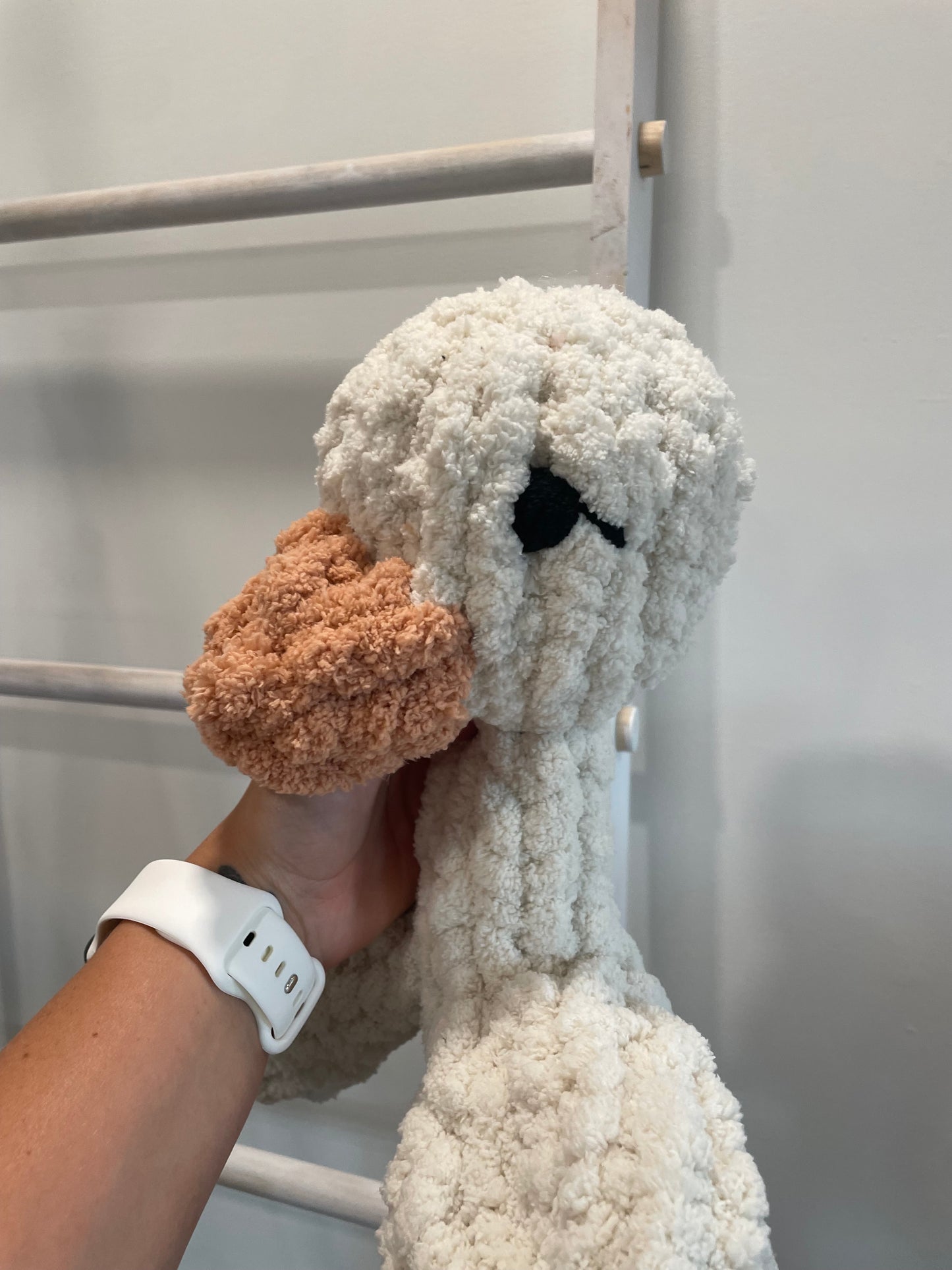 Lucy the Goose