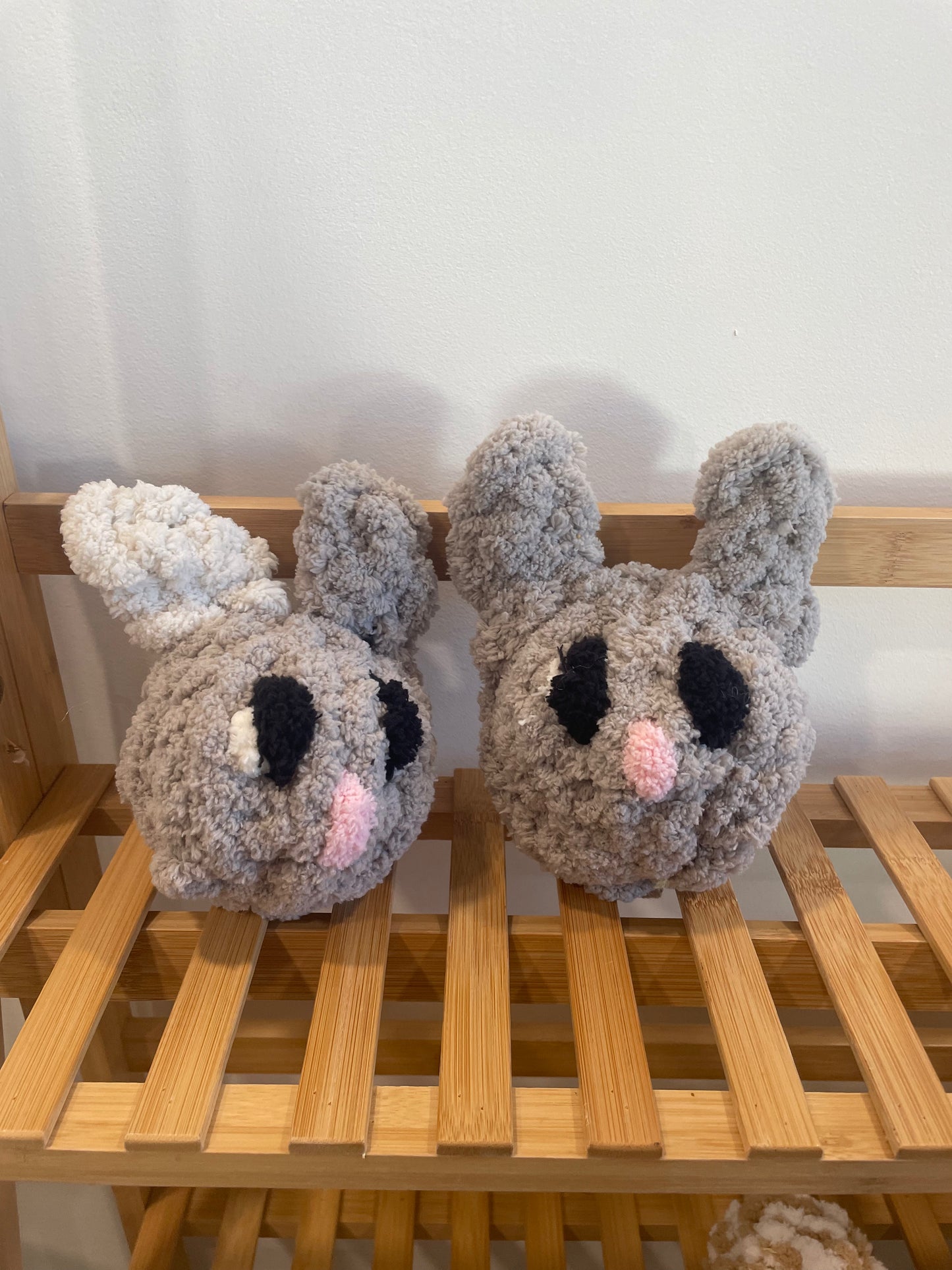 Bunny buddies
