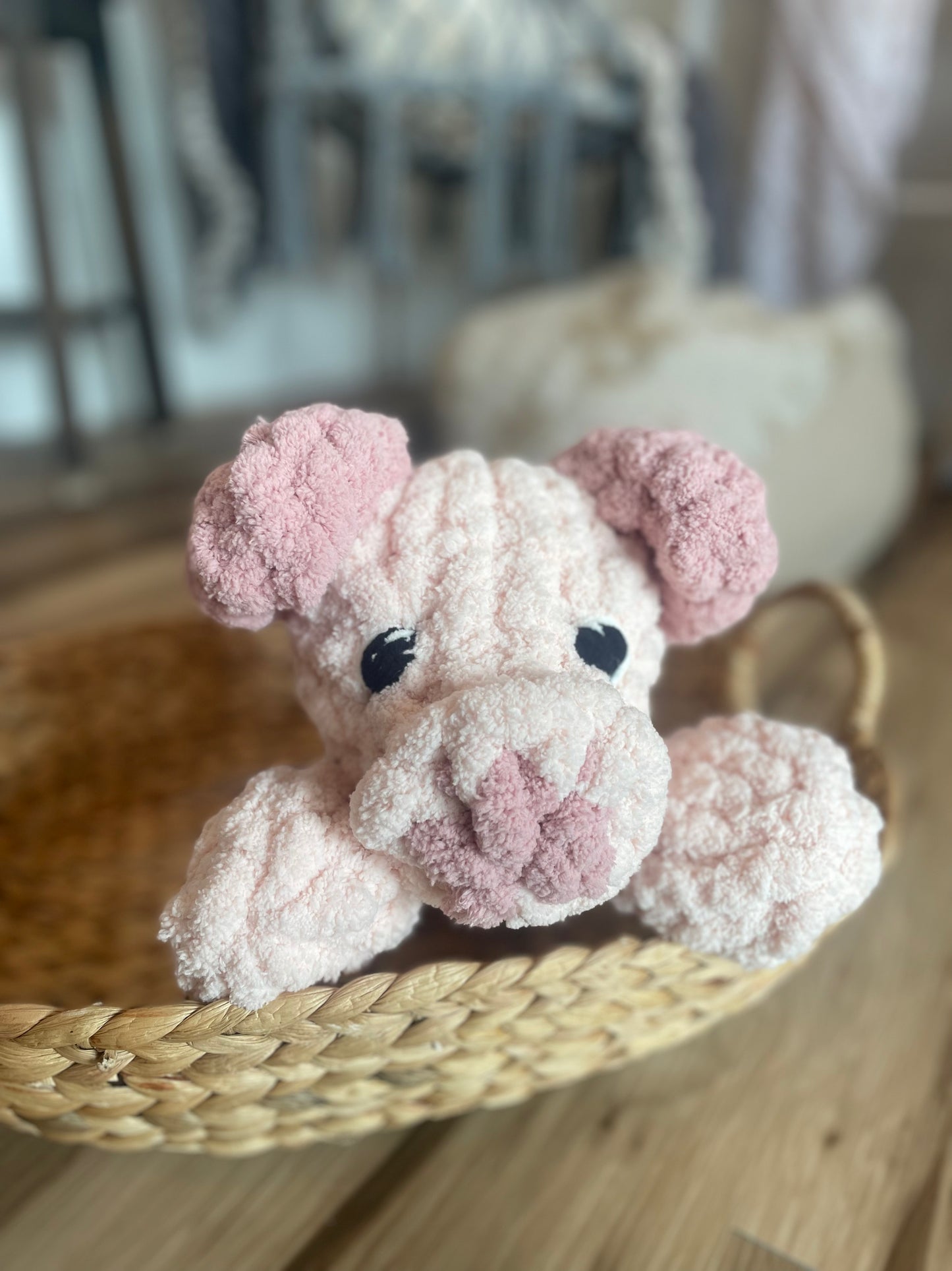 Parker the Pig