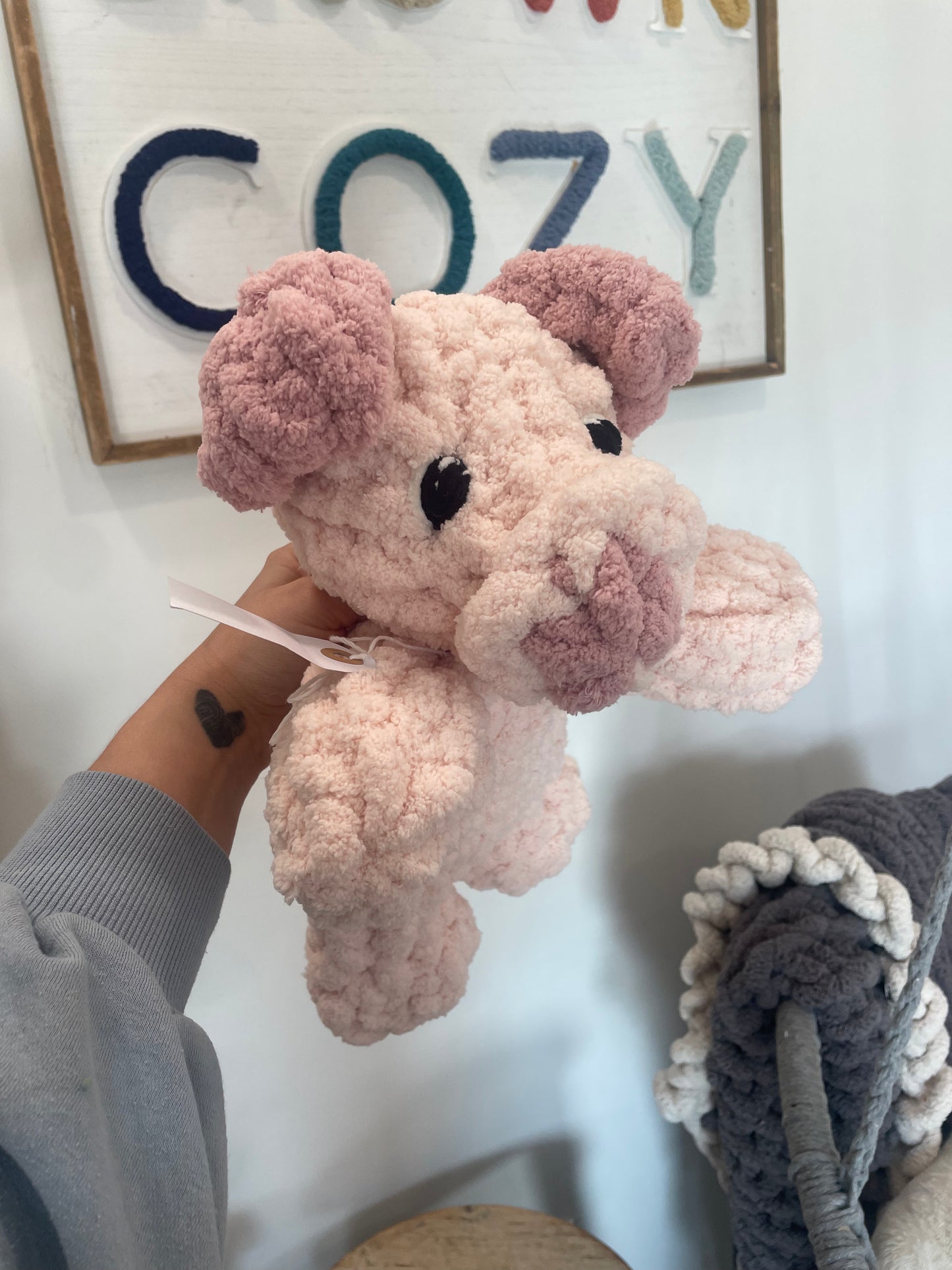 Parker the Pig
