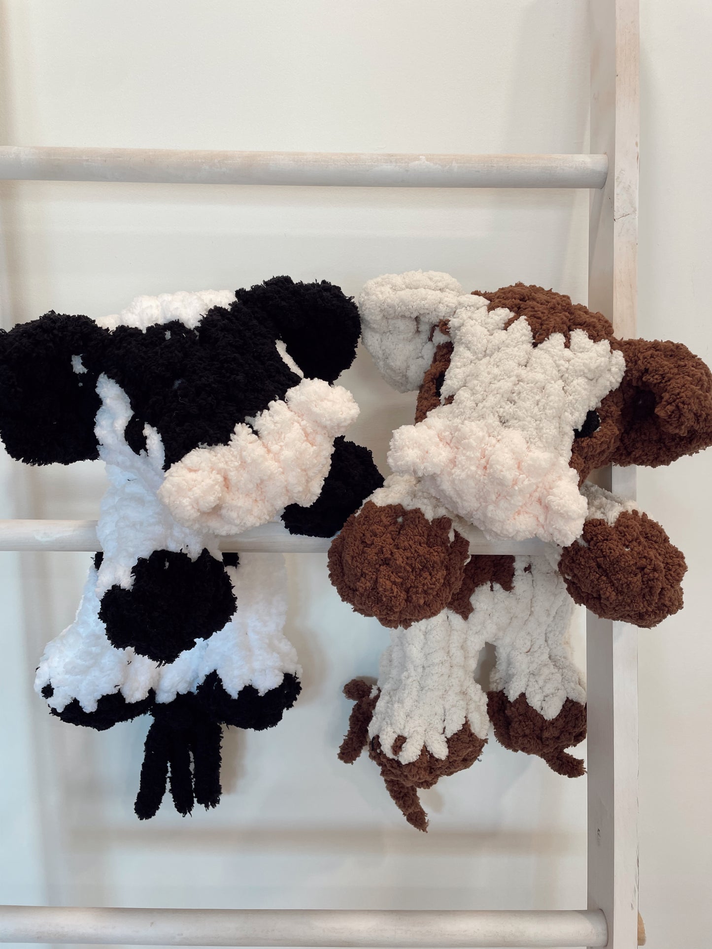 Daisy Cow