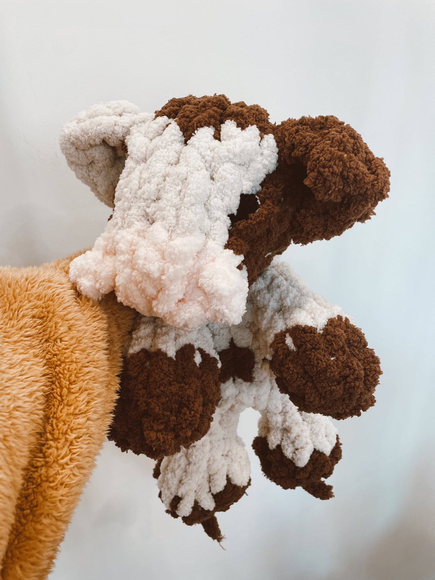 Daisy Cow