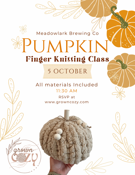 Meadowlark Brewing PUMPKIN Knitting Class