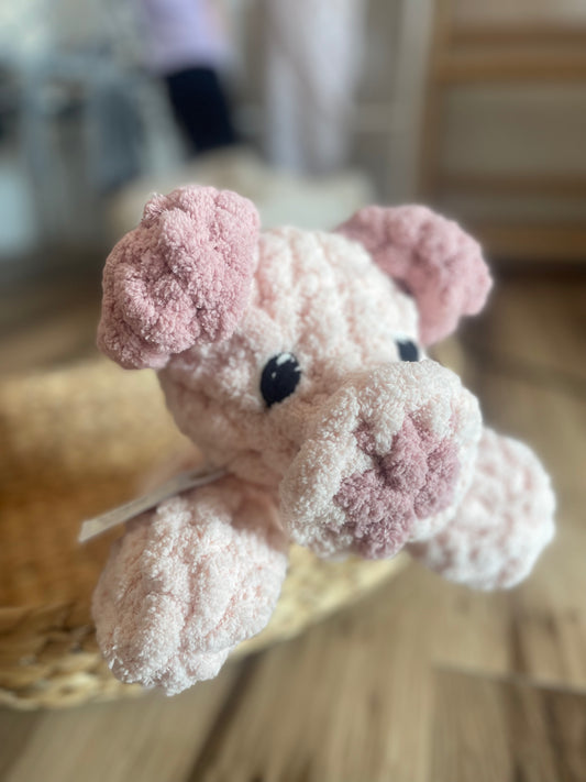 Parker the Pig